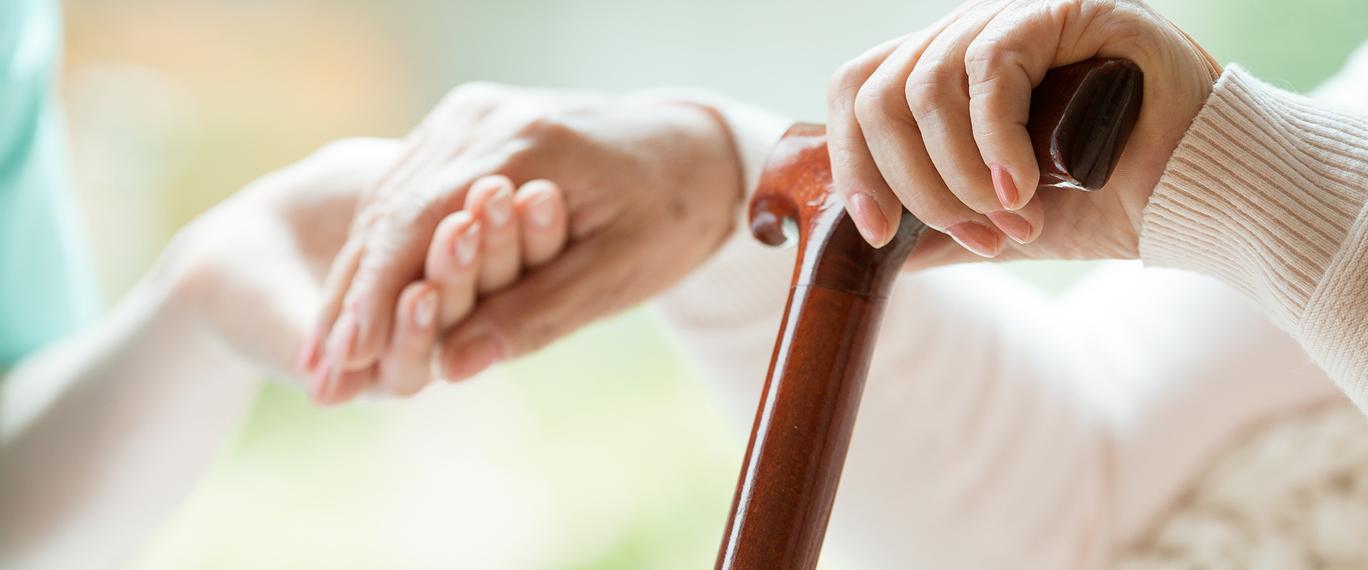 Gallery Alison House Care Home